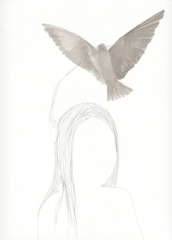 Oiseau Cheveux 2